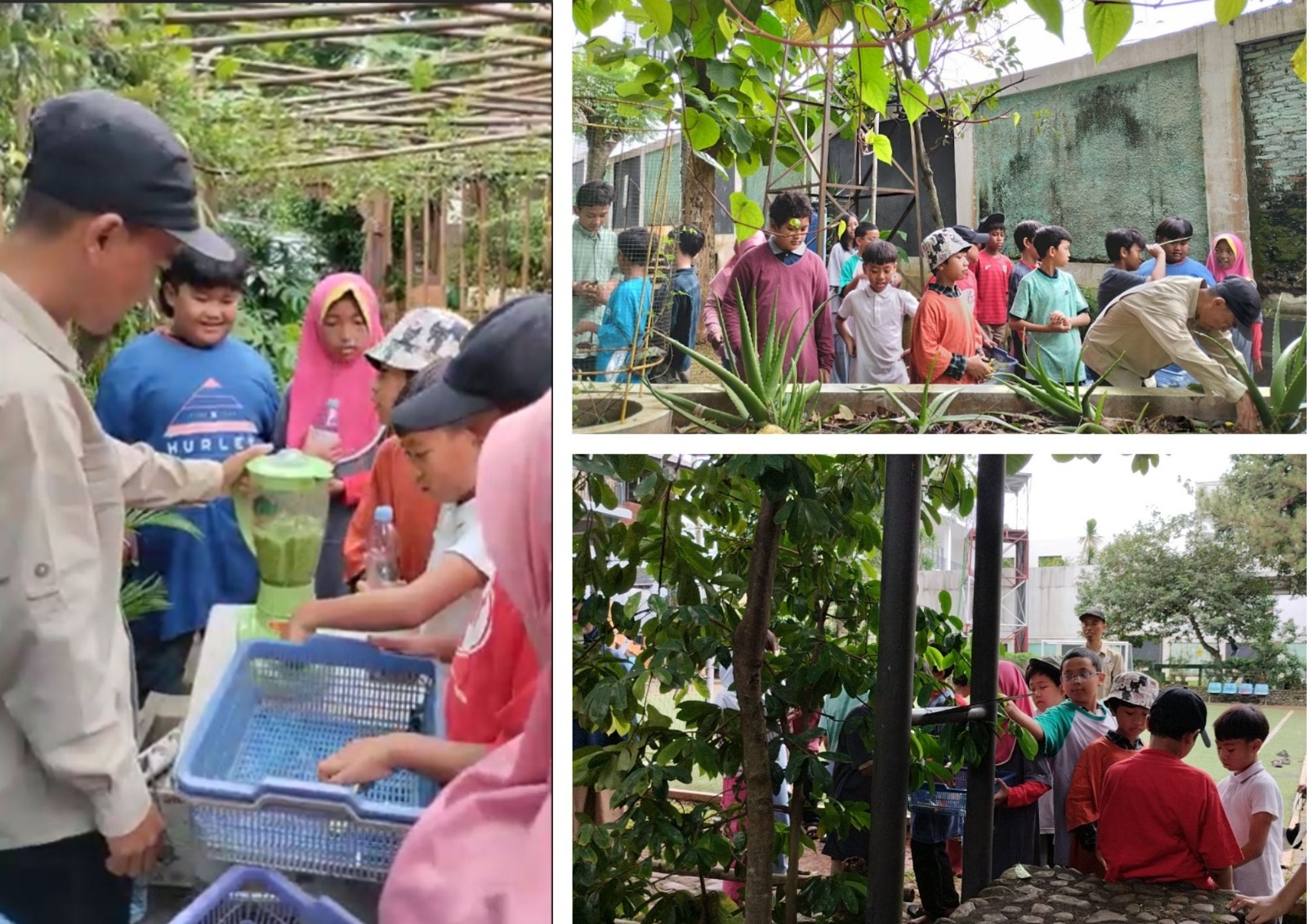 Meracik Solusi Alami: Belajar Pembuatan Pestisida Nabati di Sekolah Alam Cikeas