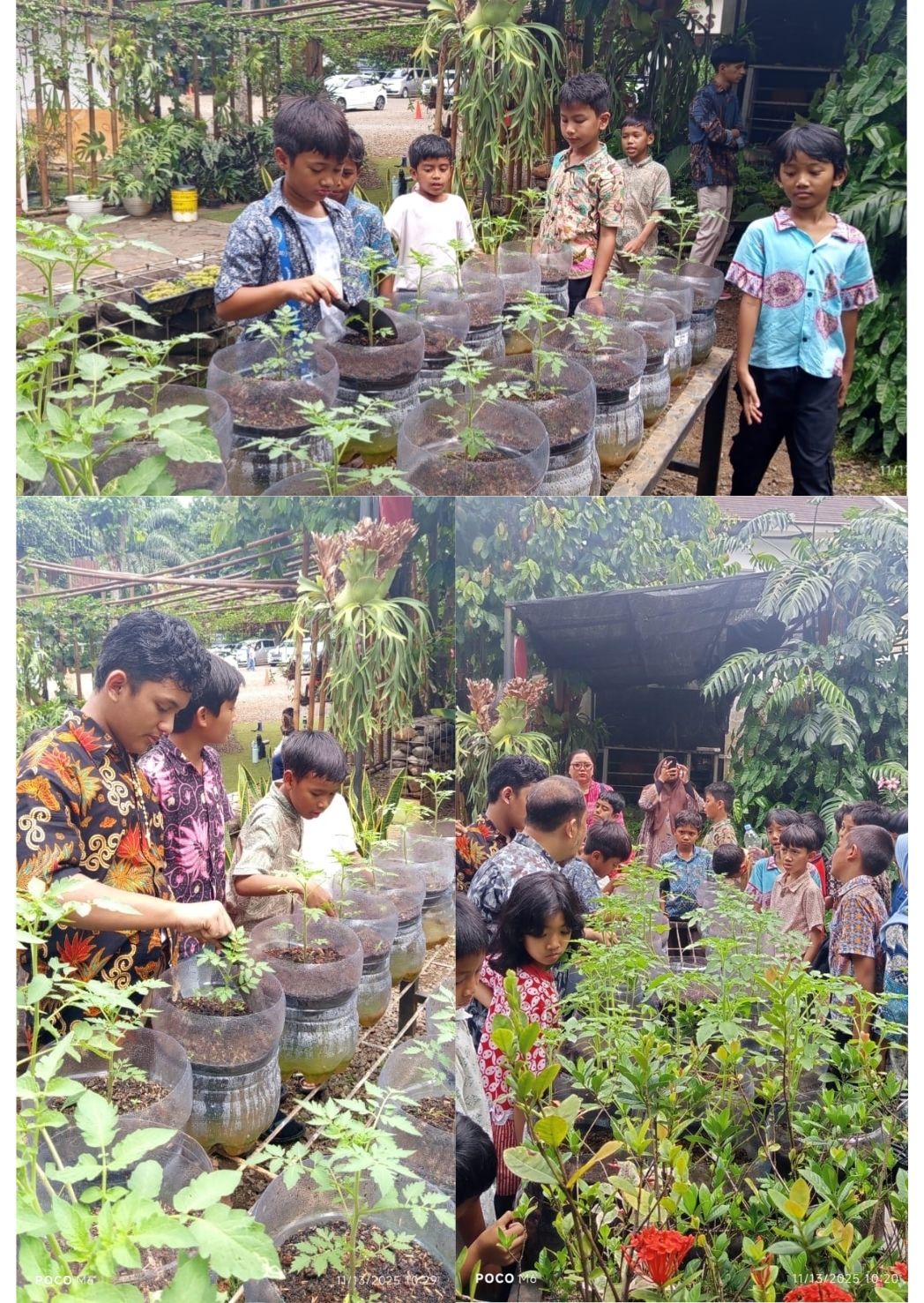 Menanam Harapan di Ruang Terbatas: Urban Farming sebagai Laboratorium Hidup di Sekolah Alam Cikeas