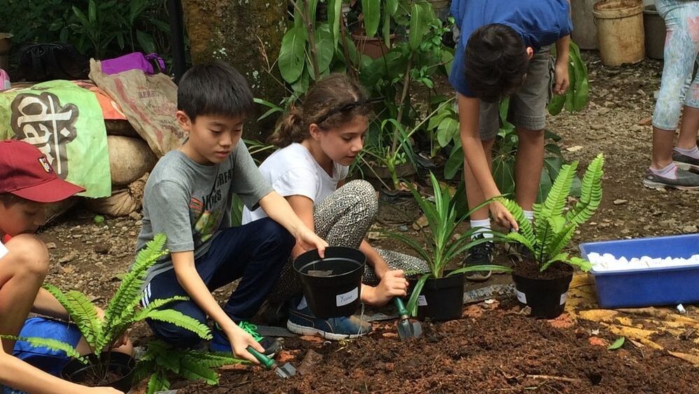 Makna Sebenarnya Kelas Tak Berdinding Sekolah Alam Cikeas