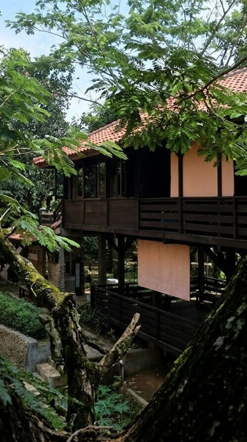 Bebas Polusi! Intip Serunya Belajar di Sekolah Asri dan Menenangkan