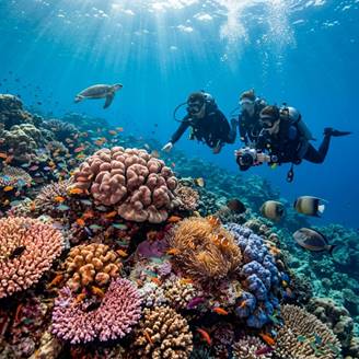 Perluas Wawasan Lewat Aksi Konservasi Lingkungan di Tidung