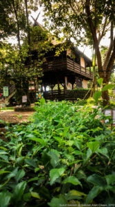 Saung kelas dan lingkungan belajar asri di sekolah alam cikeas.